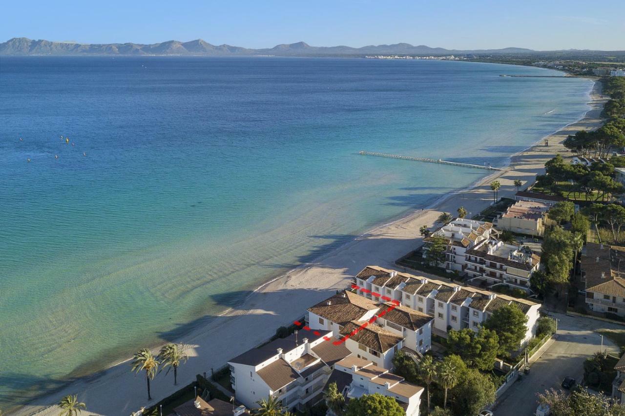 Lauba * Port d'Alcúdia