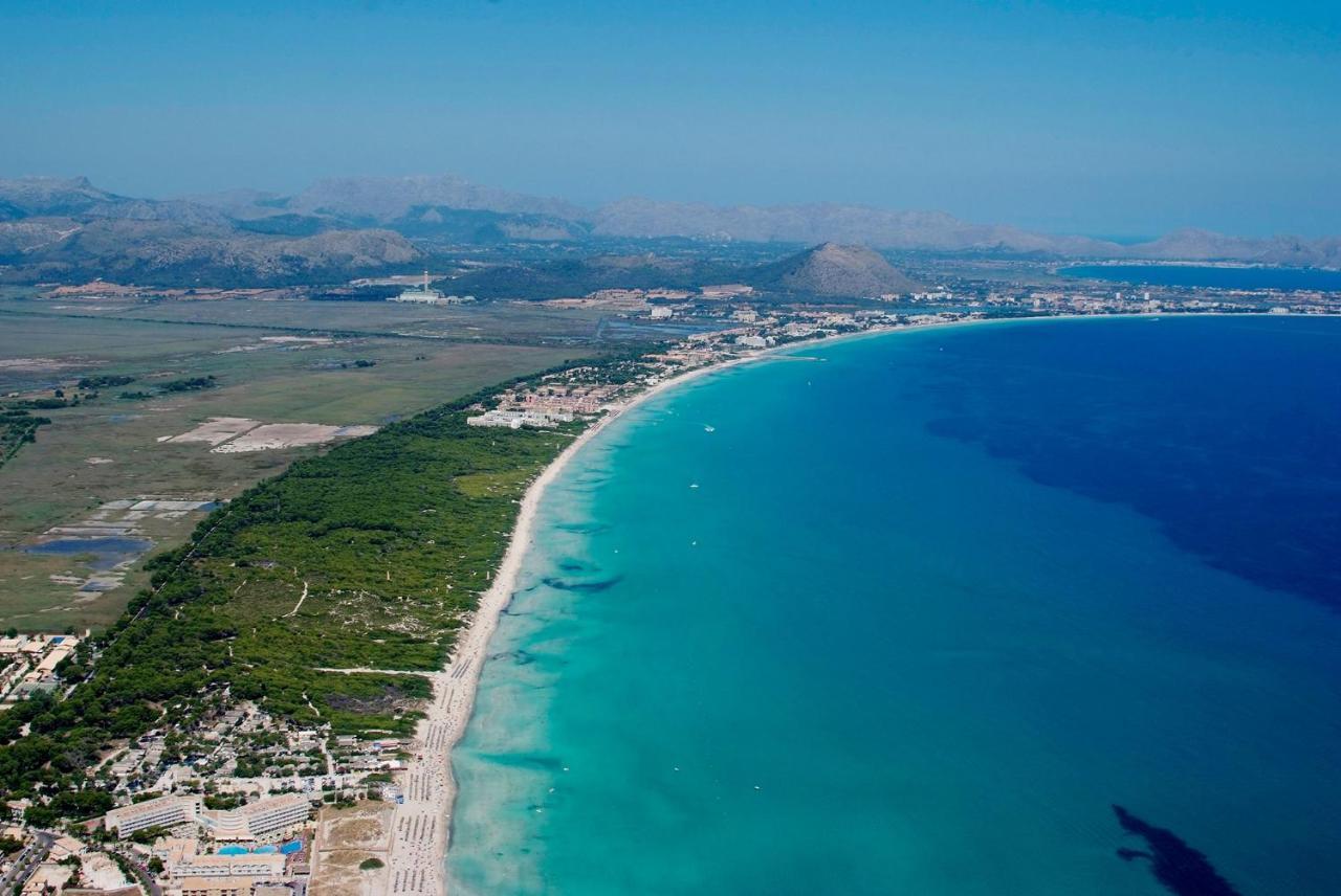 Lauba Puerto de Alcúdia